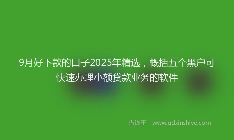 9月好下款的口子2025年精选，概括五个黑户可快速办理小额贷款业务的软件