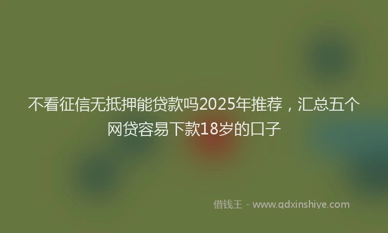 不看征信无抵押能贷款吗2025年推荐，汇总五个网贷容易下款18岁的口子