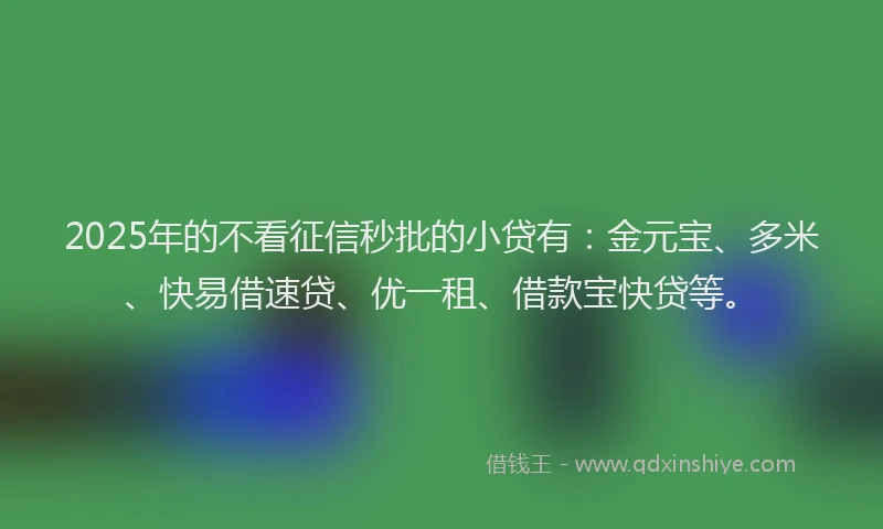 2025年的不看征信秒批的小贷有：金元宝、多米、快易借速贷、优一租、借款宝快贷等。