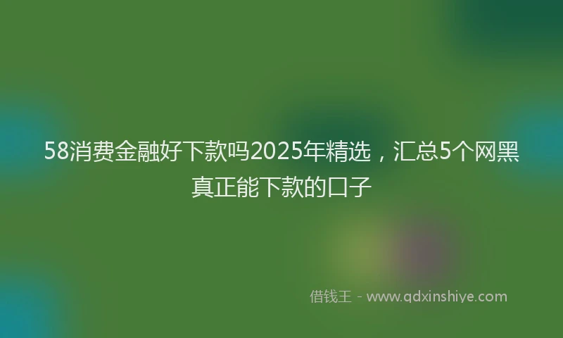 58消费金融好下款吗2025年精选，汇总5个网黑真正能下款的口子