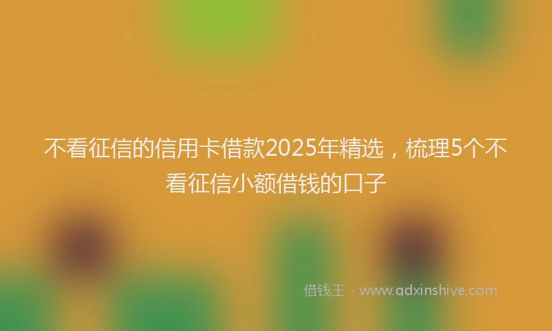 不看征信的信用卡借款2025年精选，梳理5个不看征信小额借钱的口子