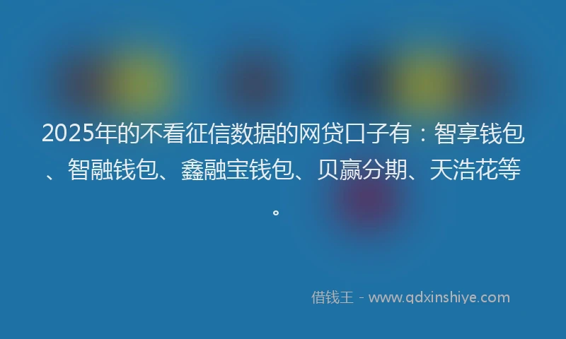 2025年的不看征信数据的网贷口子有：智享钱包、智融钱包、鑫融宝钱包、贝赢分期、天浩花等。