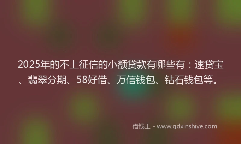 2025年的不上征信的小额贷款有哪些有：速贷宝、翡翠分期、58好借、万信钱包、钻石钱包等。