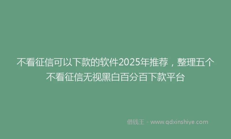 不看征信可以下款的软件2025年推荐，整理五个不看征信无视黑白百分百下款平台