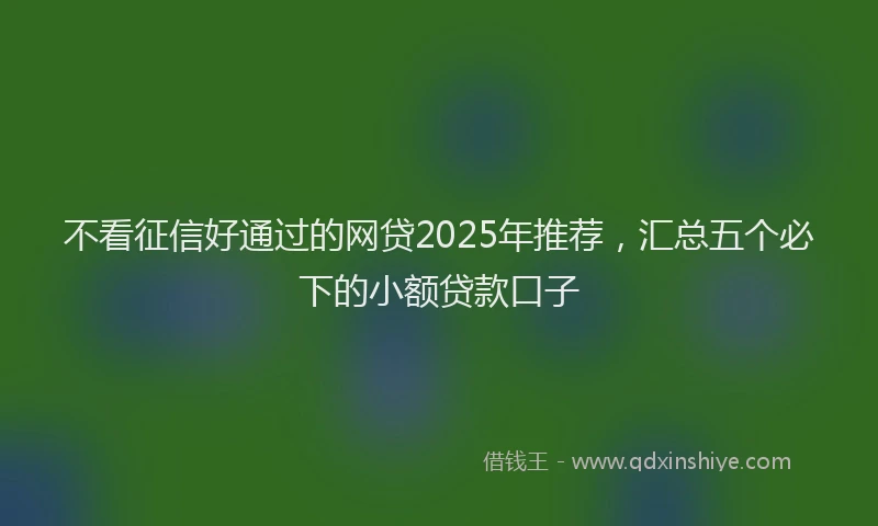 不看征信好通过的网贷2025年推荐，汇总五个必下的小额贷款口子