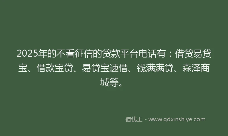 2025年的不看征信的贷款平台电话有：借贷易贷宝、借款宝贷、易贷宝速借、钱满满贷、森泽商城等。