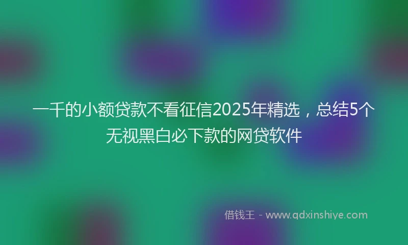 一千的小额贷款不看征信2025年精选，总结5个无视黑白必下款的网贷软件