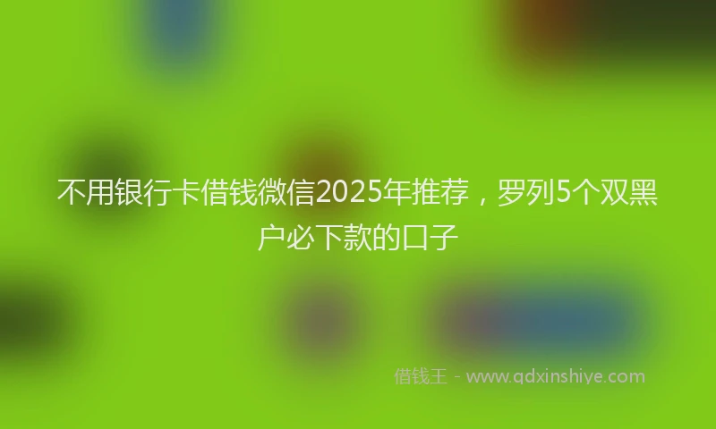 不用银行卡借钱微信2025年推荐，罗列5个双黑户必下款的口子
