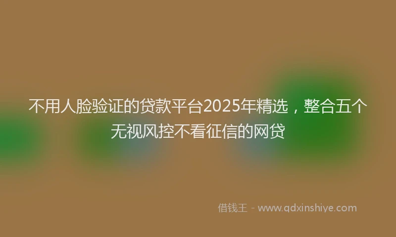 不用人脸验证的贷款平台2025年精选，整合五个无视风控不看征信的网贷