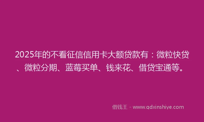 2025年的不看征信信用卡大额贷款有：微粒快贷、微粒分期、蓝莓买单、钱来花、借贷宝通等。