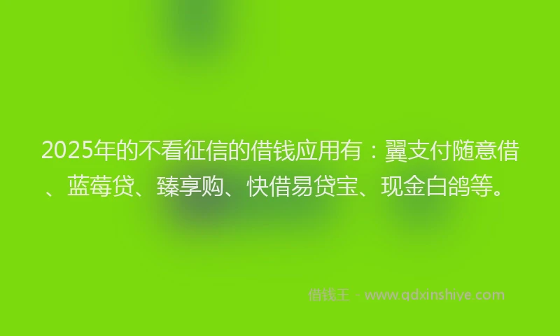 2025年的不看征信的借钱应用有：翼支付随意借、蓝莓贷、臻享购、快借易贷宝、现金白鸽等。