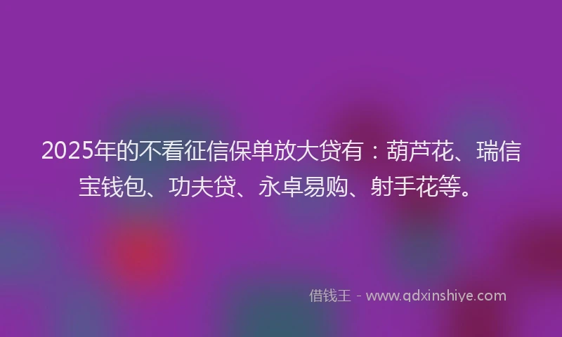 2025年的不看征信保单放大贷有：葫芦花、瑞信宝钱包、功夫贷、永卓易购、射手花等。