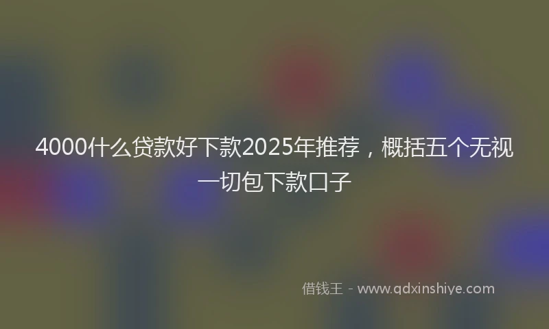 4000什么贷款好下款2025年推荐，概括五个无视一切包下款口子