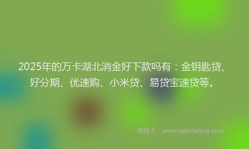 2025年的万卡湖北消金好下款吗有：金钥匙贷、好分期、优速购、小米贷、易贷宝速贷等。