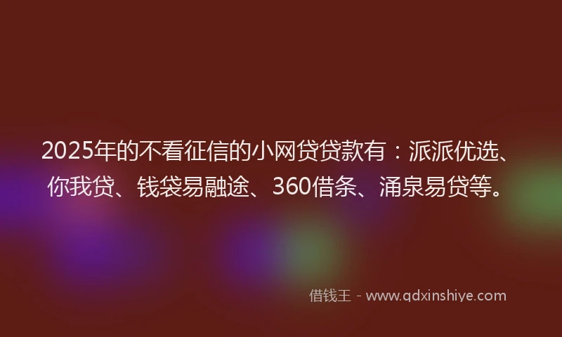 2025年的不看征信的小网贷贷款有：派派优选、你我贷、钱袋易融途、360借条、涌泉易贷等。