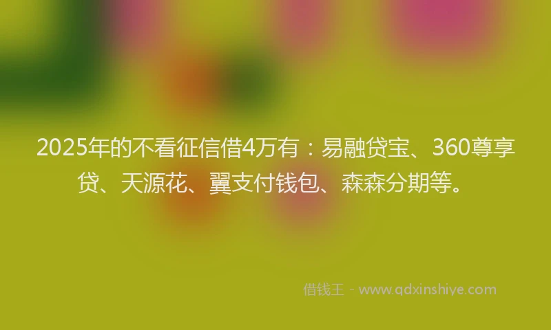 2025年的不看征信借4万有：易融贷宝、360尊享贷、天源花、翼支付钱包、森森分期等。