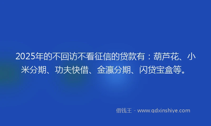 2025年的不回访不看征信的贷款有：葫芦花、小米分期、功夫快借、金瀛分期、闪贷宝盒等。
