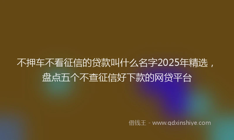不押车不看征信的贷款叫什么名字2025年精选，盘点五个不查征信好下款的网贷平台