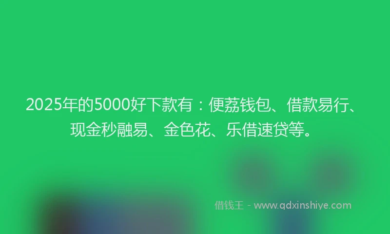 2025年的5000好下款有：便荔钱包、借款易行、现金秒融易、金色花、乐借速贷等。