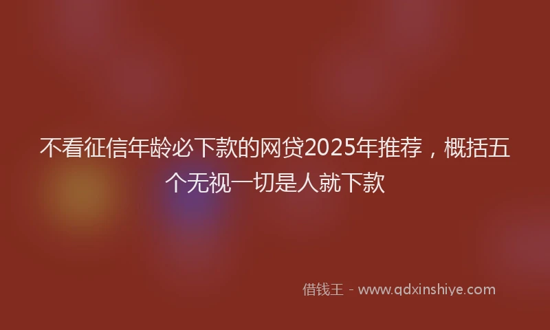 不看征信年龄必下款的网贷2025年推荐，概括五个无视一切是人就下款