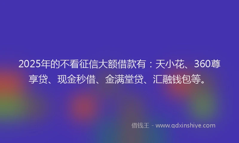2025年的不看征信大额借款有：天小花、360尊享贷、现金秒借、金满堂贷、汇融钱包等。