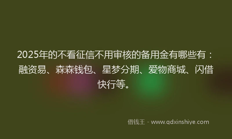 2025年的不看征信不用审核的备用金有哪些有：融资易、森森钱包、星梦分期、爱物商城、闪借快行等。