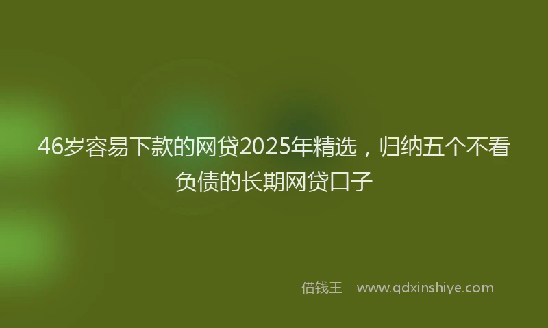 46岁容易下款的网贷2025年精选，归纳五个不看负债的长期网贷口子