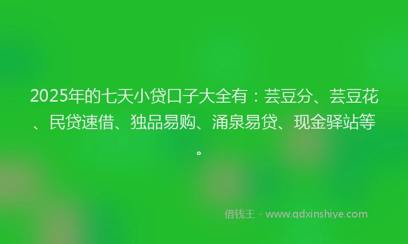 2025年的七天小贷口子大全有：芸豆分、芸豆花、民贷速借、独品易购、涌泉易贷、现金驿站等。