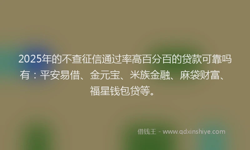 2025年的不查征信通过率高百分百的贷款可靠吗有：平安易借、金元宝、米族金融、麻袋财富、福星钱包贷等。