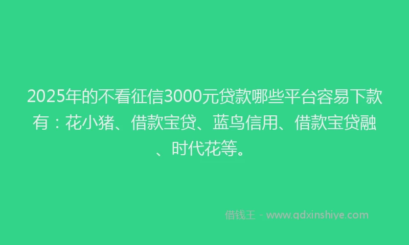 2025年的不看征信3000元贷款哪些平台容易下款有：花小猪、借款宝贷、蓝鸟信用、借款宝贷融、时代花等。