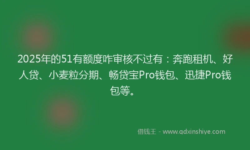 2025年的51有额度咋审核不过有：奔跑租机、好人贷、小麦粒分期、畅贷宝Pro钱包、迅捷Pro钱包等。