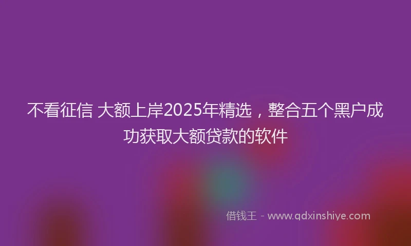 不看征信 大额上岸2025年精选，整合五个黑户成功获取大额贷款的软件