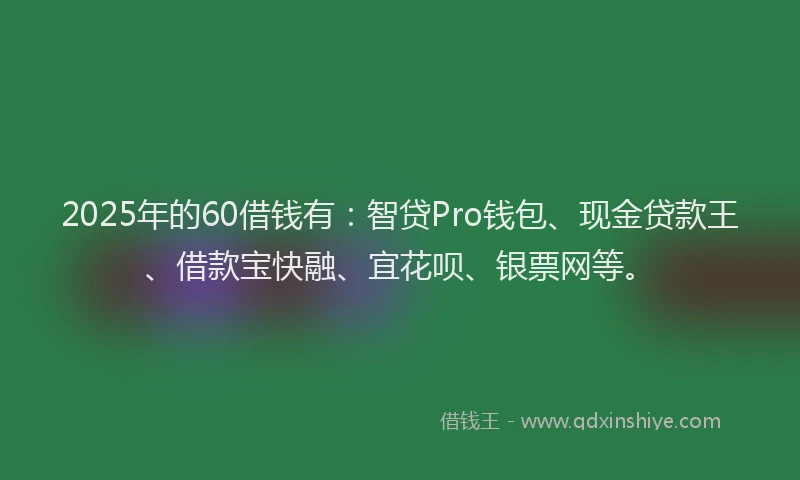 2025年的60借钱有：智贷Pro钱包、现金贷款王、借款宝快融、宜花呗、银票网等。