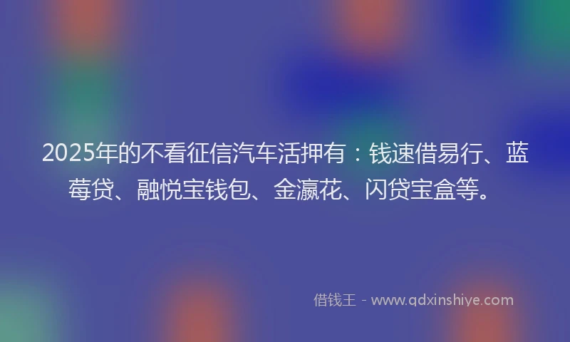 2025年的不看征信汽车活押有：钱速借易行、蓝莓贷、融悦宝钱包、金瀛花、闪贷宝盒等。
