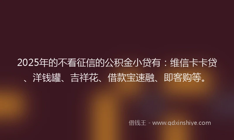 2025年的不看征信的公积金小贷有：维信卡卡贷、洋钱罐、吉祥花、借款宝速融、即客购等。