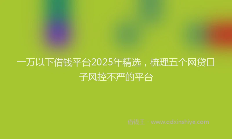 一万以下借钱平台2025年精选，梳理五个网贷口子风控不严的平台