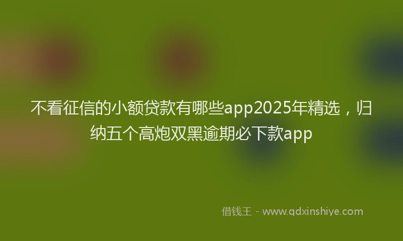 不看征信的小额贷款有哪些app2025年精选，归纳五个高炮双黑逾期必下款app