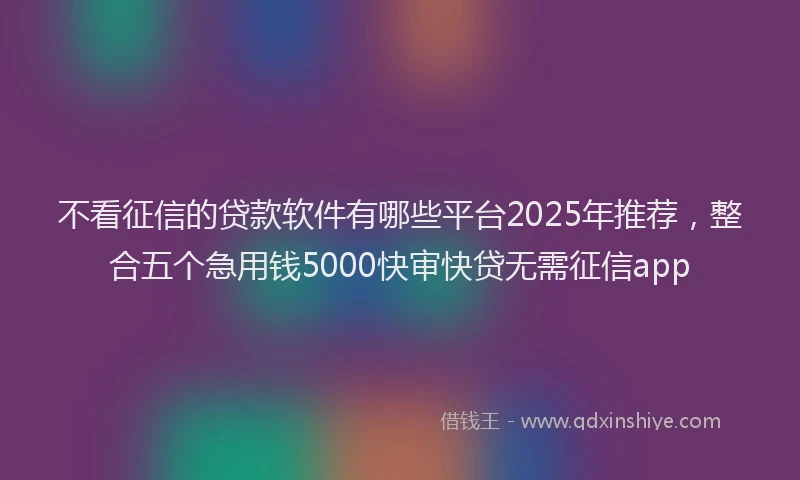 不看征信的贷款软件有哪些平台2025年推荐，整合五个急用钱5000快审快贷无需征信app