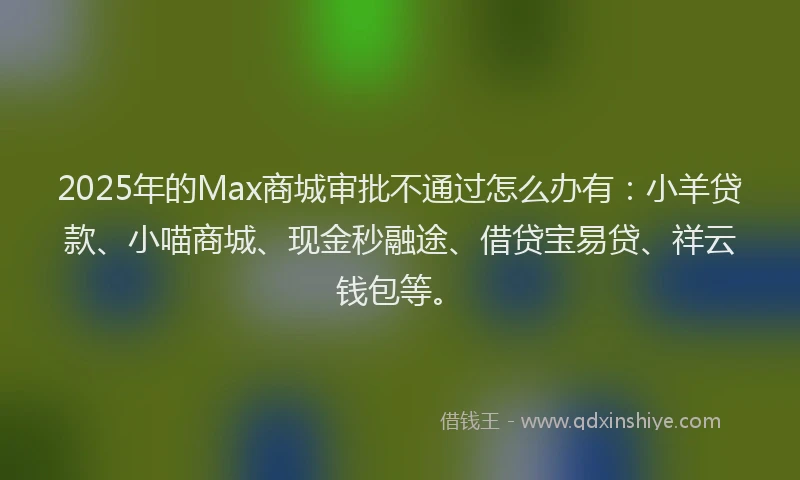 2025年的Max商城审批不通过怎么办有：小羊贷款、小喵商城、现金秒融途、借贷宝易贷、祥云钱包等。
