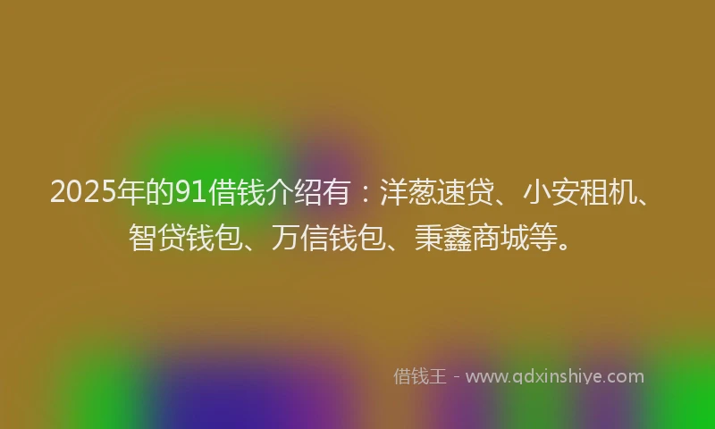 2025年的91借钱介绍有：洋葱速贷、小安租机、智贷钱包、万信钱包、秉鑫商城等。