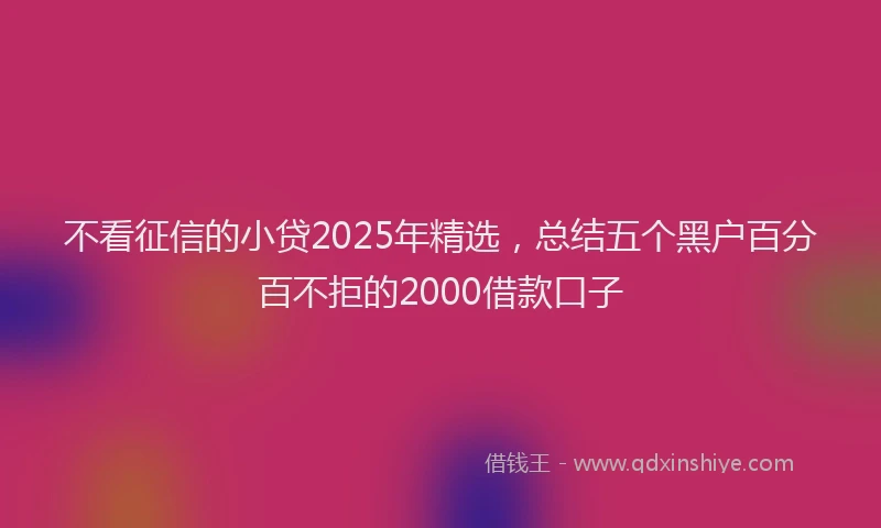 不看征信的小贷2025年精选，总结五个黑户百分百不拒的2000借款口子