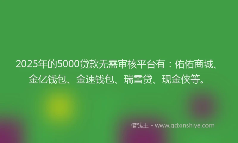 2025年的5000贷款无需审核平台有：佑佑商城、金亿钱包、金速钱包、瑞雪贷、现金侠等。