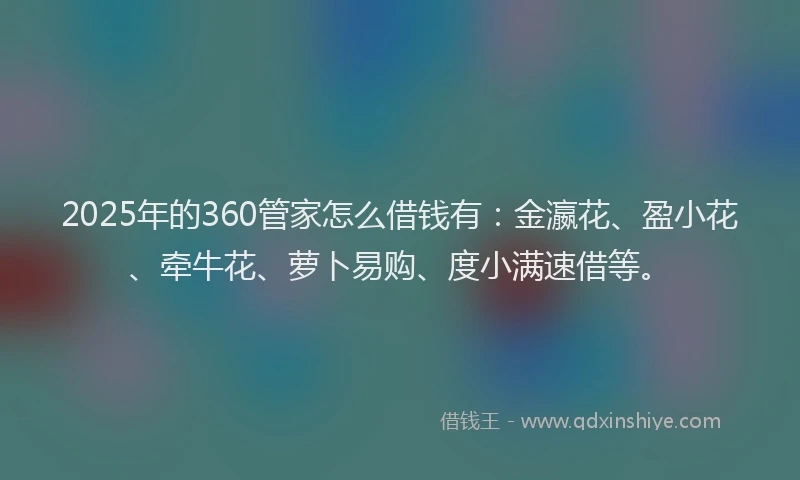 2025年的360管家怎么借钱有：金瀛花、盈小花、牵牛花、萝卜易购、度小满速借等。