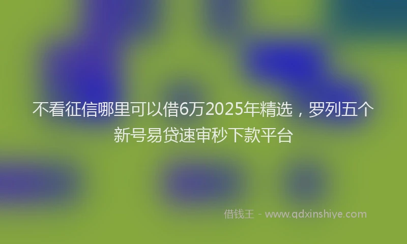 不看征信哪里可以借6万2025年精选，罗列五个新号易贷速审秒下款平台