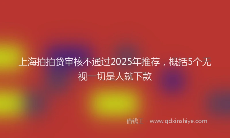 上海拍拍贷审核不通过2025年推荐，概括5个无视一切是人就下款