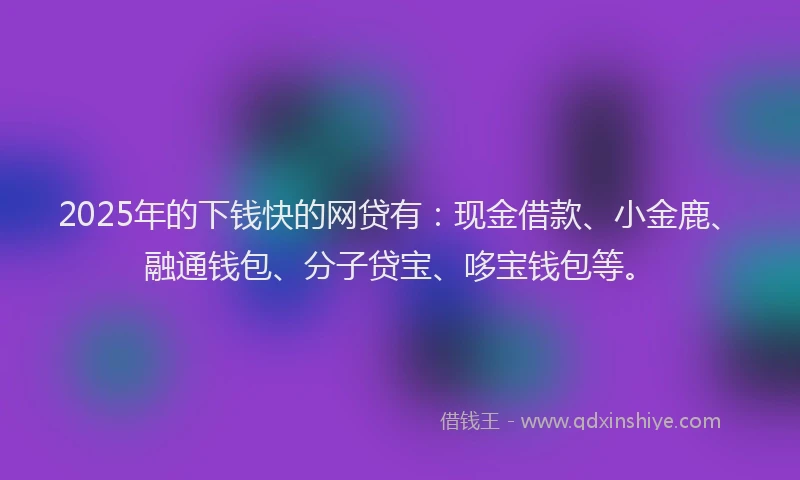 2025年的下钱快的网贷有：现金借款、小金鹿、融通钱包、分子贷宝、哆宝钱包等。