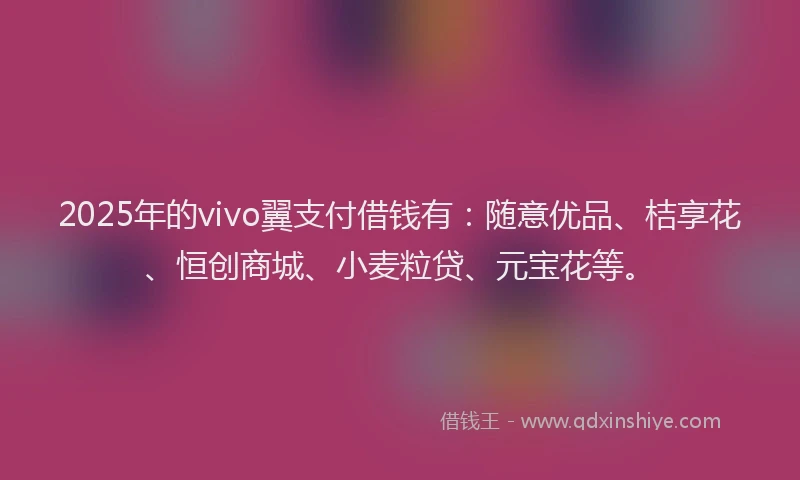 2025年的vivo翼支付借钱有：随意优品、桔享花、恒创商城、小麦粒贷、元宝花等。