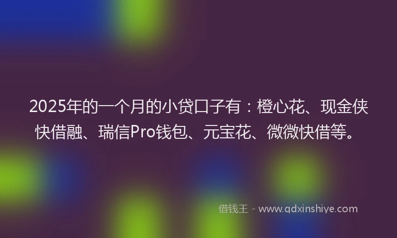 2025年的一个月的小贷口子有：橙心花、现金侠快借融、瑞信Pro钱包、元宝花、微微快借等。