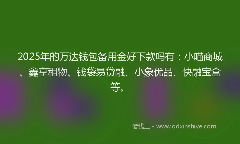 2025年的万达钱包备用金好下款吗有：小喵商城、鑫享租物、钱袋易贷融、小象优品、快融宝盒等。