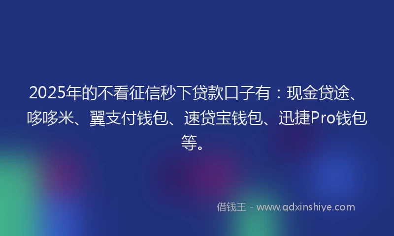 2025年的不看征信秒下贷款口子有：现金贷途、哆哆米、翼支付钱包、速贷宝钱包、迅捷Pro钱包等。